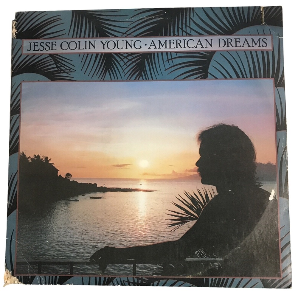 Jesse Colin Young American Dreams Vinyl LP 1978 Elektra Folk Rock Youngbloods